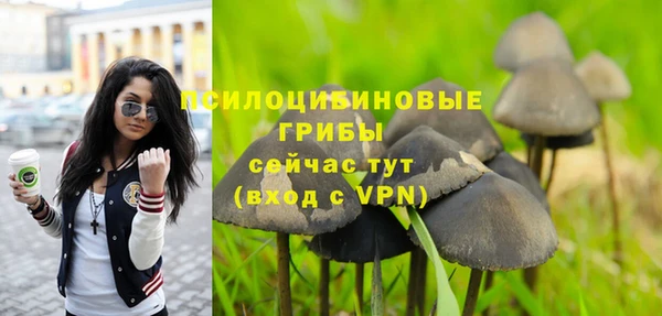 спиды Кукмор
