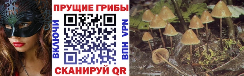 цены наркотик  Оленегорск  Псилоцибиновые грибы Magic Shrooms 