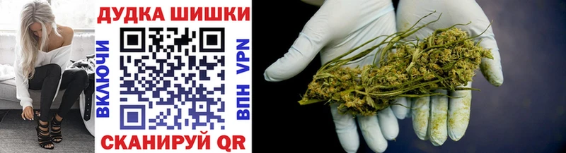 где купить   Оленегорск  mega ССЫЛКА  Бошки Шишки семена 